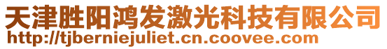 天津勝陽(yáng)鴻發(fā)激光科技有限公司