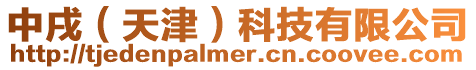 中戌(天津)科技有限公司