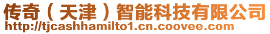 傳奇(天津)智能科技有限公司