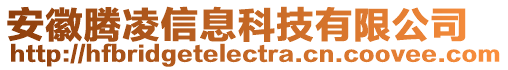 安徽騰凌信息科技有限公司