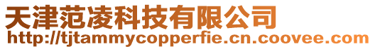 天津范凌科技有限公司