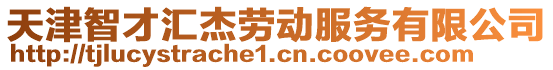 天津智才匯杰勞動(dòng)服務(wù)有限公司