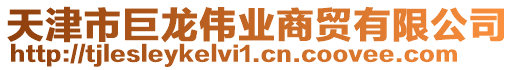 天津市巨龍偉業(yè)商貿(mào)有限公司