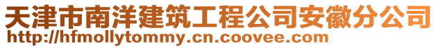 天津市南洋建筑工程公司安徽分公司