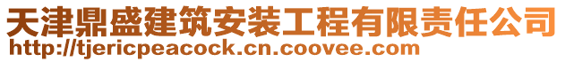 天津鼎盛建筑安裝工程有限責(zé)任公司