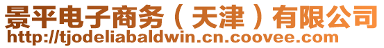 景平電子商務(wù)（天津）有限公司