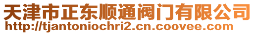 天津市正東順通閥門(mén)有限公司