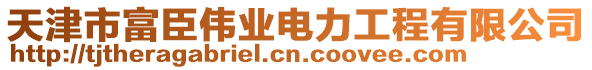 天津市富臣偉業(yè)電力工程有限公司