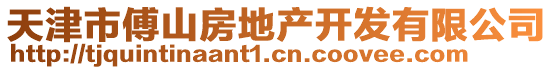 天津市傅山房地產(chǎn)開(kāi)發(fā)有限公司