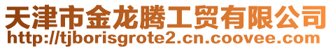 天津市金龍騰工貿(mào)有限公司