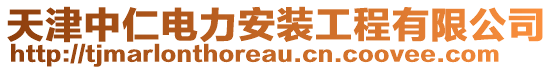 天津中仁電力安裝工程有限公司