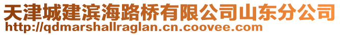 天津城建濱海路橋有限公司山東分公司