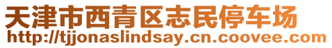 天津市西青區(qū)志民停車場