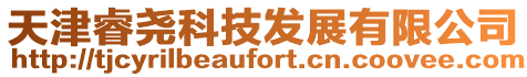 天津睿堯科技發展有限公司
