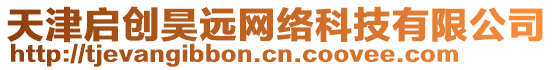 天津啟創(chuàng)昊遠網(wǎng)絡科技有限公司