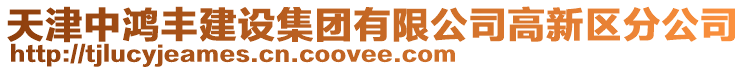 天津中鴻豐建設集團有限公司高新區分公司
