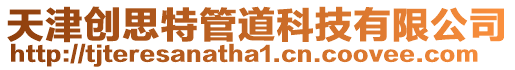 天津創(chuàng)思特管道科技有限公司