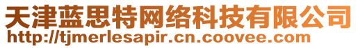 天津藍(lán)思特網(wǎng)絡(luò)科技有限公司