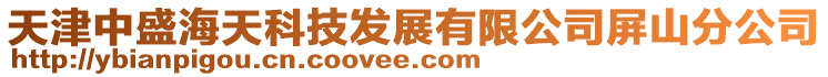 天津中盛海天科技發(fā)展有限公司屏山分公司