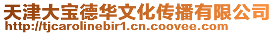 天津大寶德華文化傳播有限公司