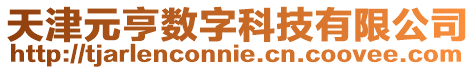 天津元亨數字科技有限公司