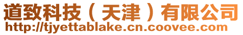 道致科技(天津)有限公司