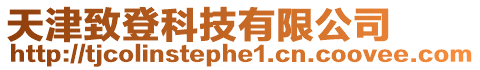 天津致登科技有限公司