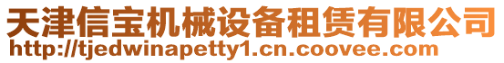 天津信寶機械設備租賃有限公司