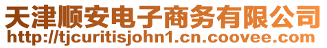 天津順安電子商務有限公司