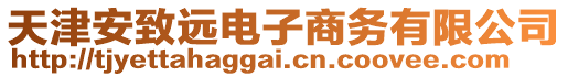 天津安致遠(yuǎn)電子商務(wù)有限公司
