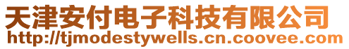 天津安付電子科技有限公司