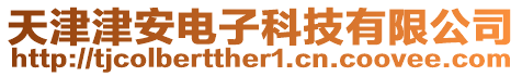 天津津安電子科技有限公司