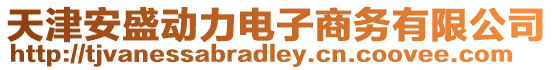 天津安盛動力電子商務有限公司