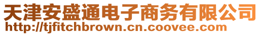 天津安盛通電子商務有限公司