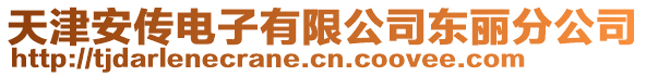 天津安傳電子有限公司東麗分公司
