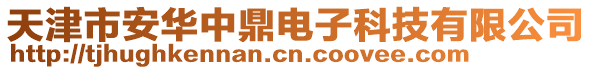 天津市安華中鼎電子科技有限公司