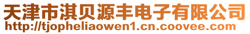 天津市淇貝源豐電子有限公司