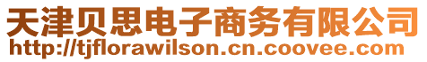 天津貝思電子商務有限公司