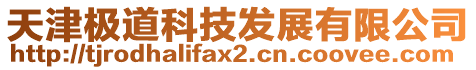天津極道科技發展有限公司