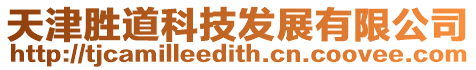 天津勝道科技發展有限公司