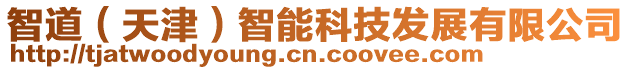 智道(天津)智能科技發展有限公司