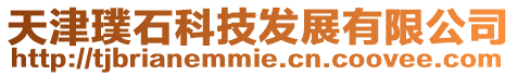 天津璞石科技發(fā)展有限公司