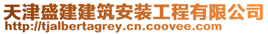 天津盛建建筑安裝工程有限公司