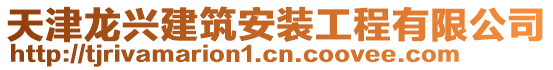 天津龍興建筑安裝工程有限公司