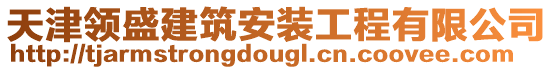 天津領盛建筑安裝工程有限公司