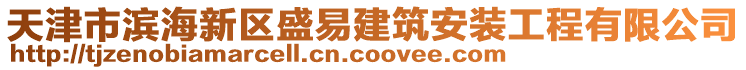 天津市濱海新區盛易建筑安裝工程有限公司
