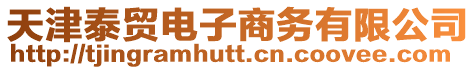 天津泰貿電子商務有限公司