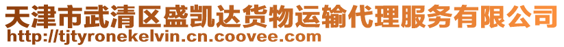 天津市武清區盛凱達貨物運輸代理服務有限公司