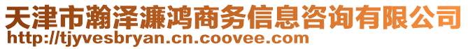 天津市瀚澤濂鴻商務(wù)信息咨詢有限公司