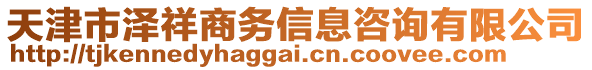 天津市澤祥商務信息咨詢有限公司